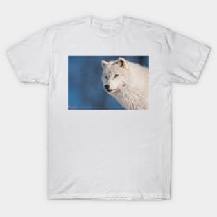 Arctic Wolf T-Shirt